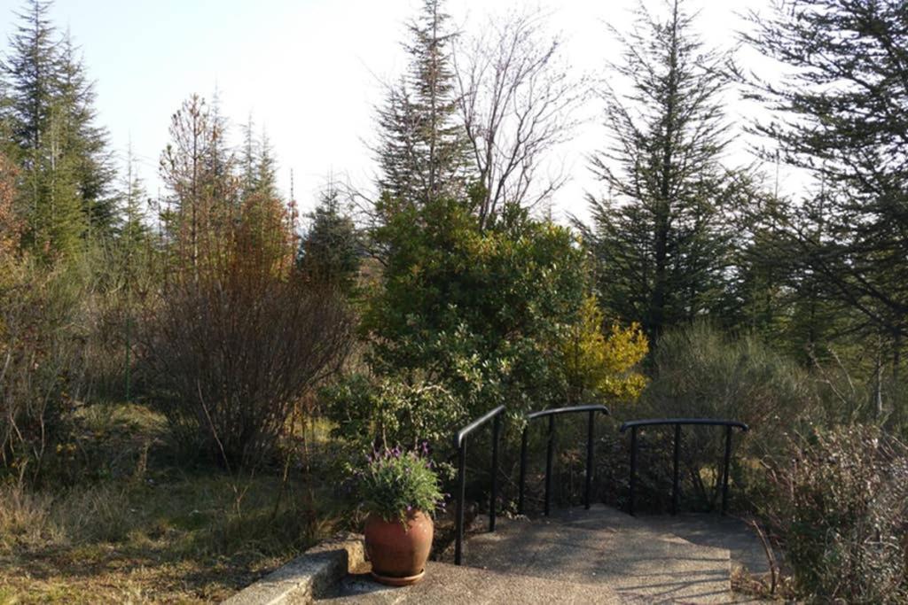 Villa La Lurette, Appartement Et Studio Saint-Étienne-les-Orgues Екстериор снимка