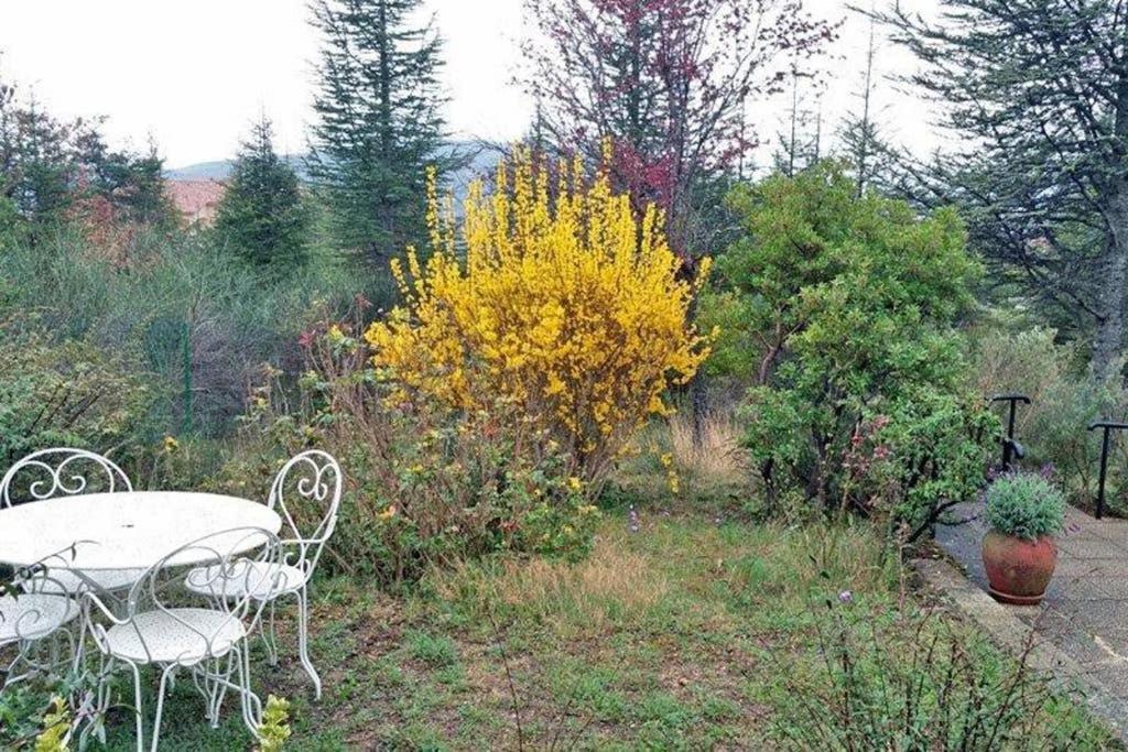Villa La Lurette, Appartement Et Studio Saint-Étienne-les-Orgues Екстериор снимка